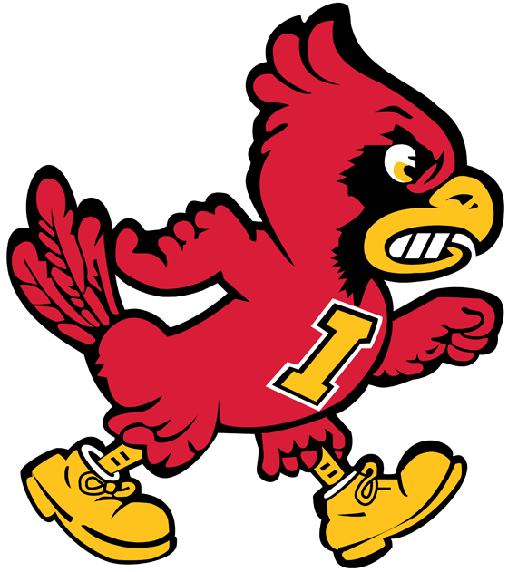Iowa State Cyclones 1978-1982 Primary Logo diy iron on heat transfer